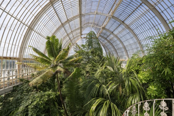 Palm House, oldest Victorian greenhouse in the world, Royal Botanic Gardens, Kew, London, England, Great Britain