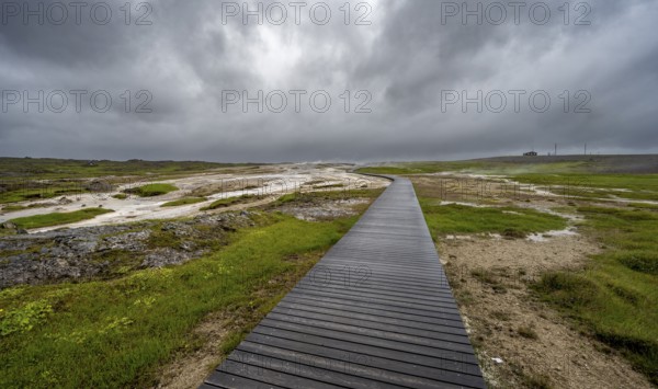Wooden path between hot springs, Hveravellir geothermal area, Icelandic Highlands, Suðurland, Iceland, Europe