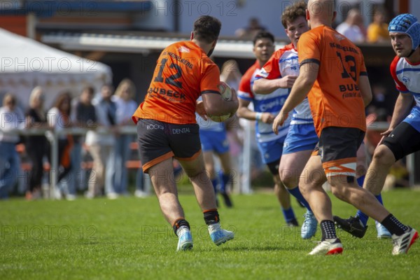Rugby 1st Bundesliga South/West, Season 2024/25, Matchday 10: RG Heidelberg vs Heidelberger Ruderklub 1872