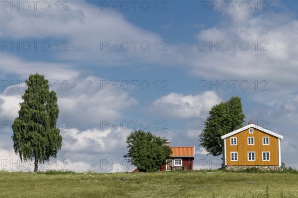 Falun red and Swedish yellow wooden house, meadow, trees, blue sky, clouds, at Lake Mjosa near Hamar, Norway, Europe