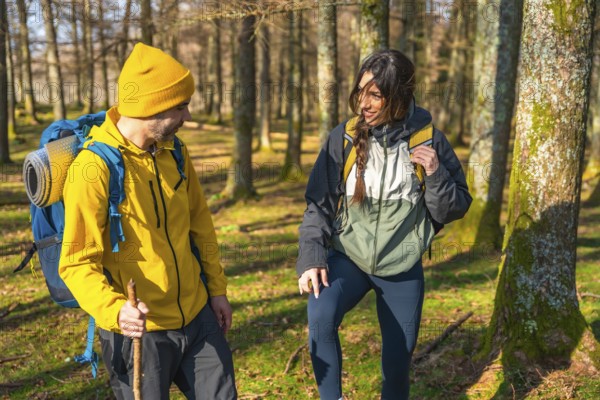 Hikers with backpacks enjoying a sunny day in the forest, chatting and laughing as they explore the scenic trails and lush surroundings