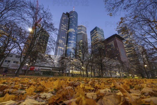 The lights in the offices of Frankfurt's banking skyline begin to glow in the evening. Frankfurt am Main, Hesse, Germany, Europe