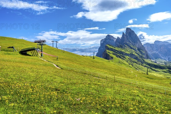 Lush green meadow covered in yellow wildflowers with ski lifts and the majestic peaks of the odle mountain group in the background, seceda, dolomites, italy