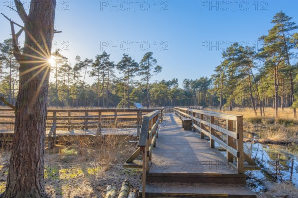 View along a moor bridge in the moor adventure trail, Sonnenstrahl, Otternhagener Moor, Resse, Neustadt am Rübenberge, Hanover, Lower Saxony, Germany, Europe