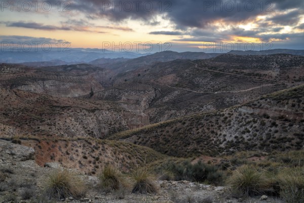Sunrise, wide hilly desert landscape with dry vegetation, Gorafe desert, semi-desert, Granada, Andalusia, Spain, Europe