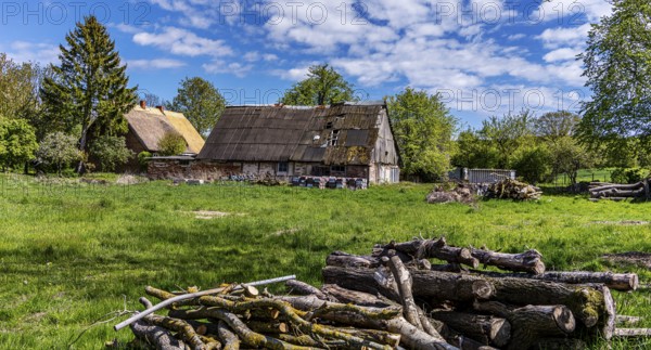 Abandoned and derelict farmhouses on undeveloped land in Rügen, Mecklenburg-Vorpommern, Germany, Europe