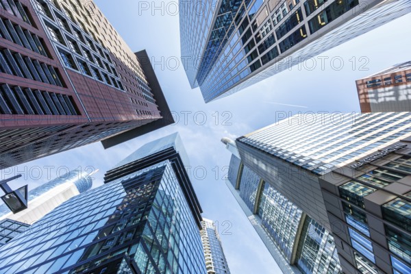 Frankfurt skyline skyscrapers buildings banks modern work offices in Frankfurt, Germany, Europe