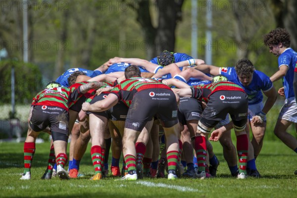 Heidelberg, 06.04.2024, Rugby 1st Bundesliga South/West, Season 2023/24, Matchday 10: SC Neuenheim vs RK Heusenstamm (93:7)