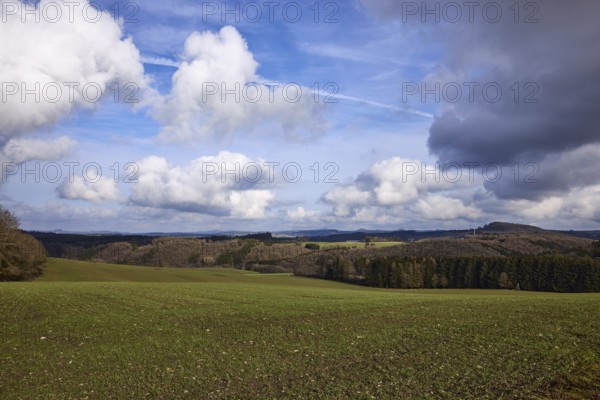 Agriculture, fields, hilly landscape, coniferous forest, landscape, landscape photography, blue sky, cumulus clouds, nimbostratus clouds, contrails, Dreis-Brück, Eifel, Vulkaneifel district, Rhineland-Palatinate, Germany, Europe