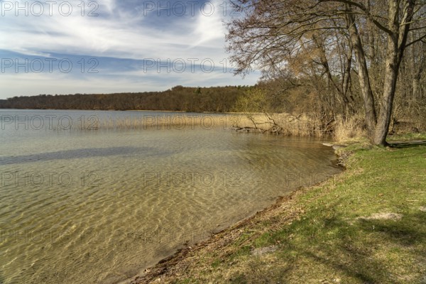 Lichtenberg bathing beach on Lake Breiter Luzin, Feldberg Lakeland, Mecklenburg-Western Pomerania, Germany, Europe