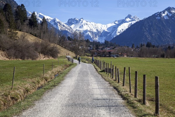 Path through meadows between Rubi and Oberstdorf, behind mountains of the Allgäu Alps, Oberallgäu, Allgäu, Bavaria, Germany, Europe