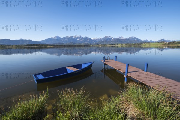A blue jetty on a calm, clear lake with a breathtaking Alpine backdrop, Hopfen am See, near Füssen, Ostallgäu district, Swabia, Bavaria, Germany, Europe
