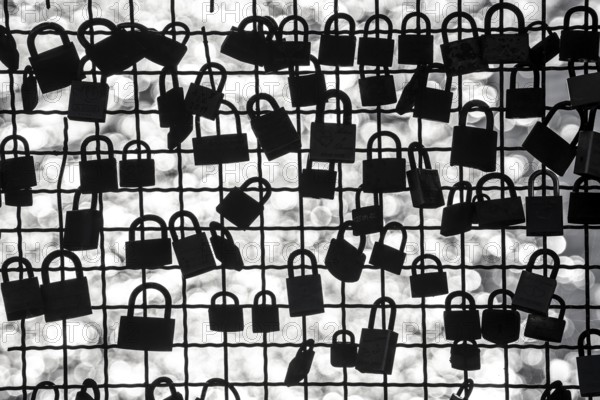 Padlocks, so-called love locks on a fence, vantage point in Wesel am Rhein, North Rhine-Westphalia, Germany, Europe