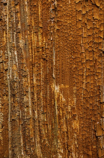 Surface of weathered and cracked wood