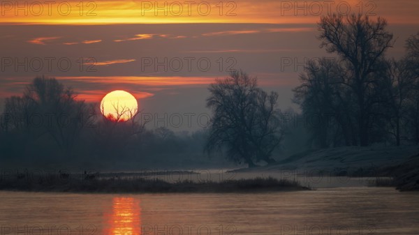 Sunrise on the Middle Elbe, winter landscape in frost, river landscape, fog, reflection of the sun, landscape shot, wonderful atmosphere, Garden Kingdom of Dessau-Wörlitz, Middle Elbe Biosphere Reserve, UNESCO World Heritage Site, Saxony-Anhalt
