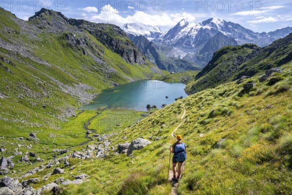 Hiker, mountain lake Lac de Louvie with glaciated summit of the Grand Combin, Val de Bagnes, Valais, Switzerland, Europe