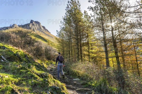 Hiker navigating a forest trail towards the majestic peak of mount txindoki, surrounded by lush greenery and vibrant sunlight in gipuzkoa