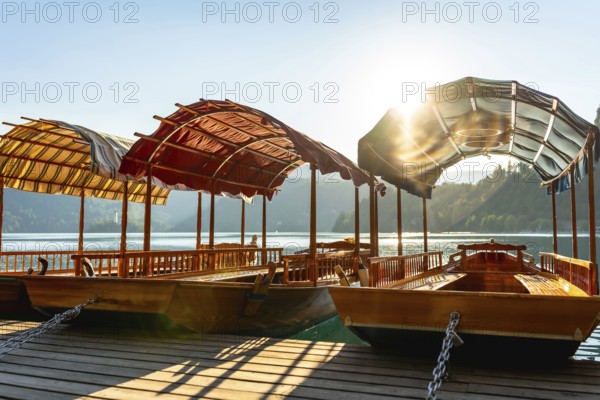 Wooden tourist boats, known as pletnas, moored at a pier on lake bled in slovenia, bathed in the golden light of sunrise