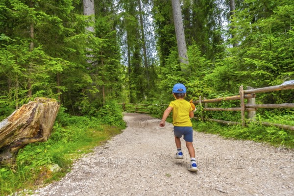 Child running along a gravel path through a lush forest near lake carezza in the italian dolomites, enjoying a summer day outdoors