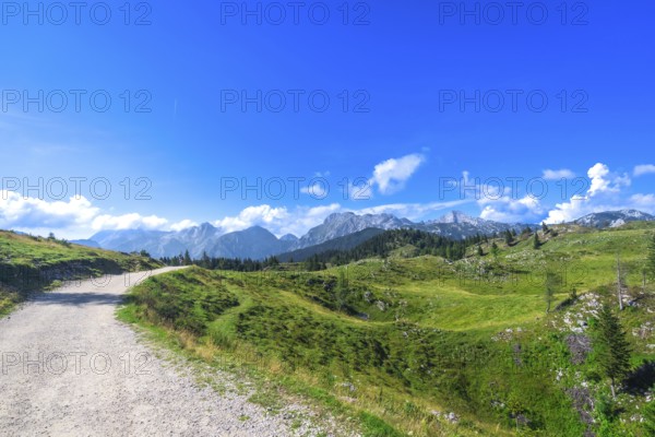 Scenic gravel road meanders through vibrant green meadows in logarska dolina, framed by majestic peaks of kamnik savinja alps under a clear blue sky