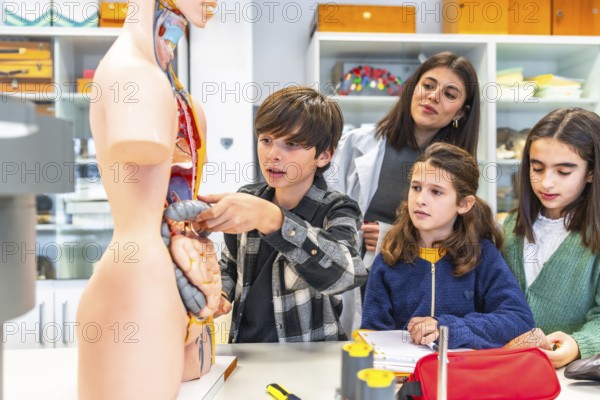 Elementary school students learning human body anatomy with teacher and anatomical model during biology class