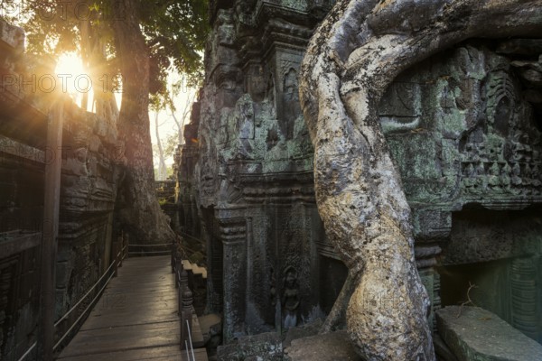 Ta Prohm, Angkor Wat, Angkor, UNESCO World Heritage Site, Siem Reap, Cambodia, Indochina, Southeast Asia, Asia