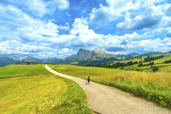 Tourists enjoying a scenic walk on a sunny summer day at alpe di siusi, with the sassolungo mountain in the background