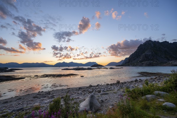 Coast with pebble beach, coastal landscape at sunset, Henningsvær, Lofoten, Nordland, Norway, Europe