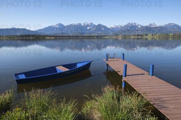 A lake with calm water and blue sky, a boat and a jetty in front of an alpine backdrop, Hopfen am See, near Füssen, Ostallgäu district, Swabia, Bavaria, Germany, Europe