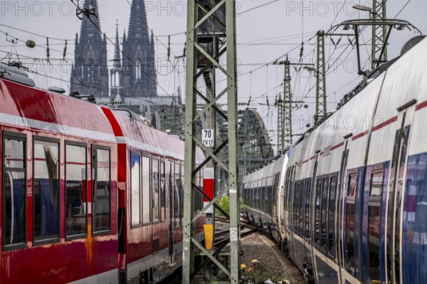 Rail traffic on the line between Cologne Central Station and Cologne-Deutz, Hohenzollern railway bridge over the Rhine near Cologne, Cologne Cathedral, North Rhine-Westphalia, Germany, Europe