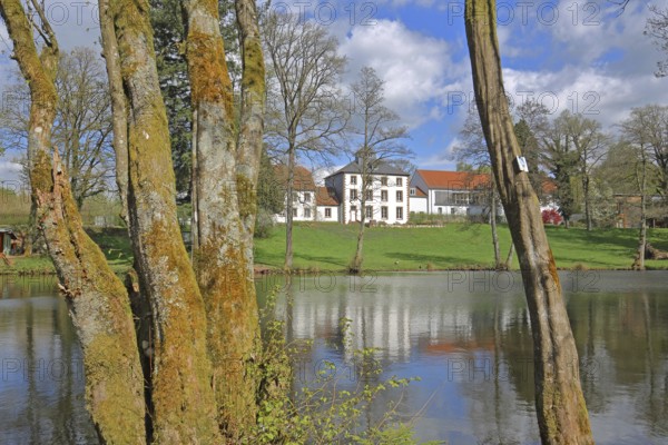 Pond with mossy tree trunks at Hofgut Imsbach, nature, moss, reflection, country inn, idyll, landscape, Theley, Tholey, Saarland, Germany, Europe
