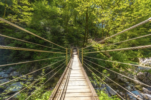 Wooden suspension bridge crossing over a clear stream in tolmin gorge, slovenia, surrounded by lush green foliage on a sunny summer day