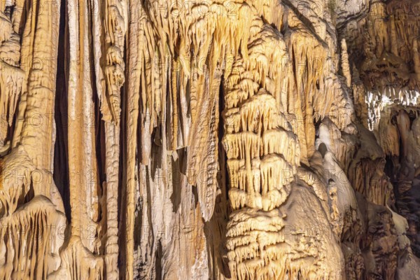 Breathtaking view of illuminated stalactites and stalagmites formations inside postojna cave, a famous tourist attraction in slovenia
