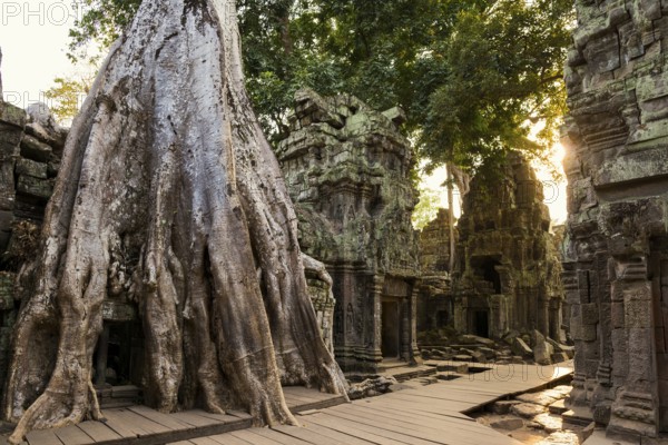 Ta Prohm, Angkor Wat, Angkor, UNESCO World Heritage Site, Siem Reap, Cambodia, Indochina, Southeast Asia, Asia