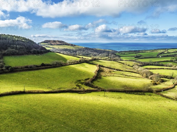 Farms over Morcombelake Village from a drone, Bridport, Dorset, England, United Kingdom, Europe