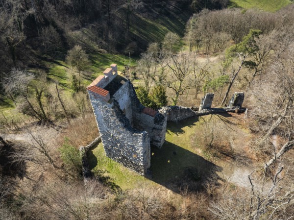 Aerial view of the Neuburg ruins, historical sight above Lake Constance, Untersee, Lake Rhine, opposite the Höri peninsula, Canton Thurgau, Switzerland, Europe