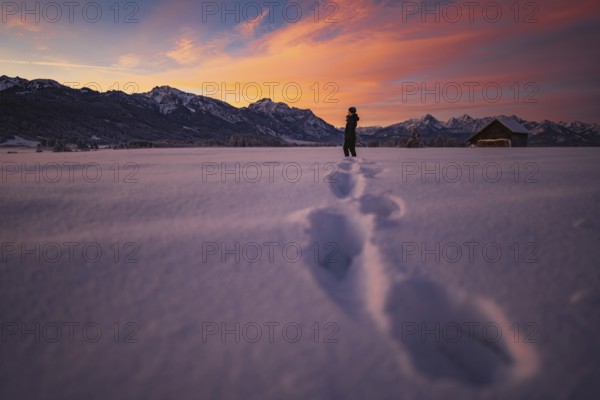 Winter landscape in the Allgäu near Halblech at sunrise