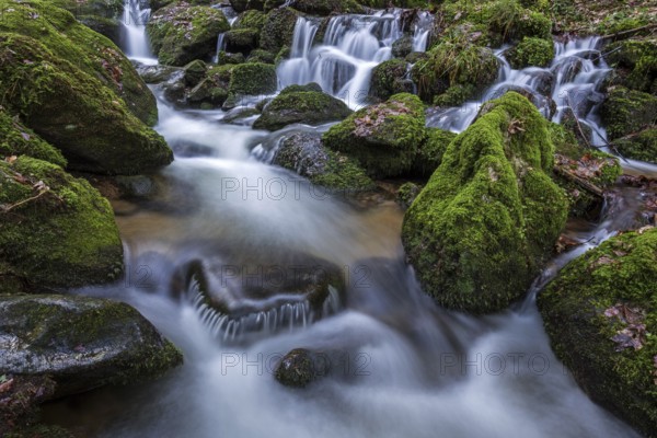 Gertelbach, Gertelbach Waterfalls, Gertelbach Falls, Gertelbach Gorge, Bühl, Bühlertal, Northern Black Forest, Black Forest, Baden-Württemberg, Germany, Europe