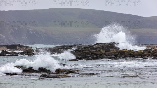 Waves, Curio Bay, Südland, Neuseeland