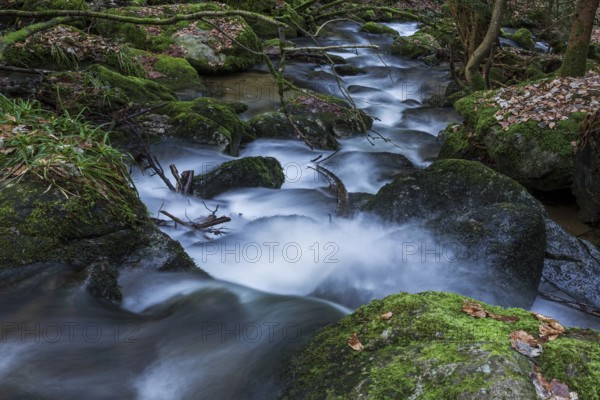 Gertelbach, Gertelbach Waterfalls, Gertelbach Falls, Gertelbach Gorge, Bühl, Bühlertal, Northern Black Forest, Black Forest, Baden-Württemberg, Germany, Europe