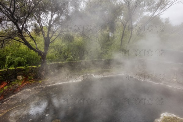 Geothermal, Park, Rotorua, New Zealand, Oceania