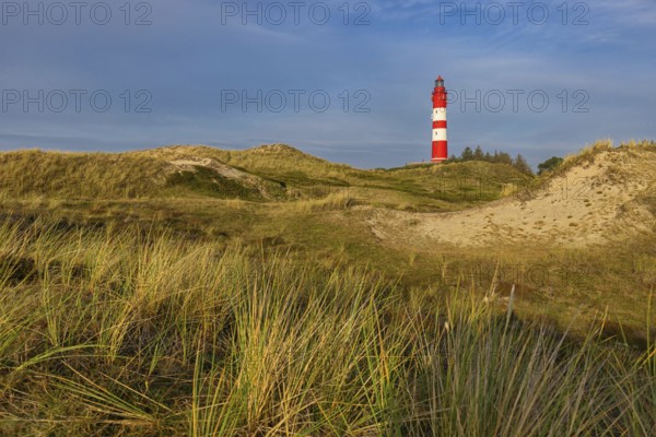 Amrum Island, landscape Germany, dune, dunes, grass, structure, shape, vegetation, lighthouse, Amrum, Amrum Island, Schleswig-Holstein, Germany, Europe