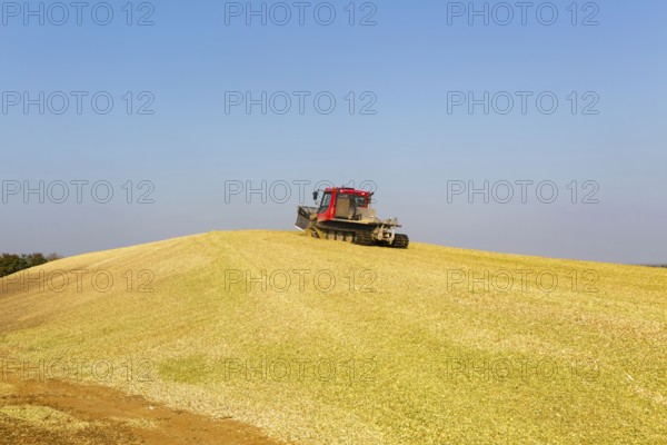 Piston Bully tracked bulldozer vehicle building silage clamp of sweetcorn maize in field stored for biofuel, Alderton, Suffolk, England, UK