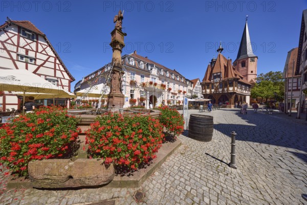 Market fountain with blooming geraniums and historic town hall under a cloudless blue sky on the market square in Michelstadt, Odenwald, Odenwaldkreis, Hesse, Germany, Europe