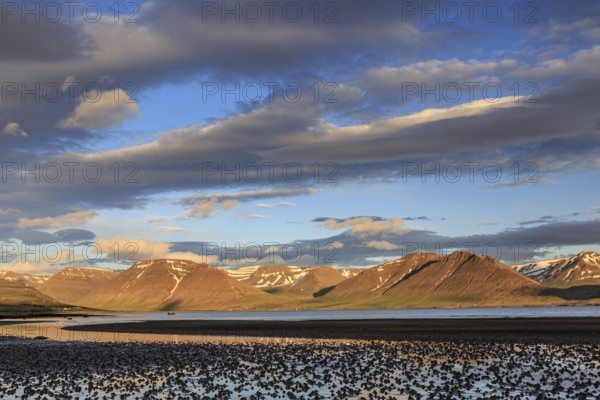 Fjord, low tide, stones, mountains, evening light, cloudy mood, Thingeyri, Westfjords, Iceland, Europe