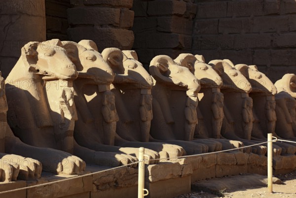 Luxor, Karnak Temple, columns and ram figures of the Amun-Re-Temple in Karnak, Africa, Upper Egypt, UNESCO World Heritage Site