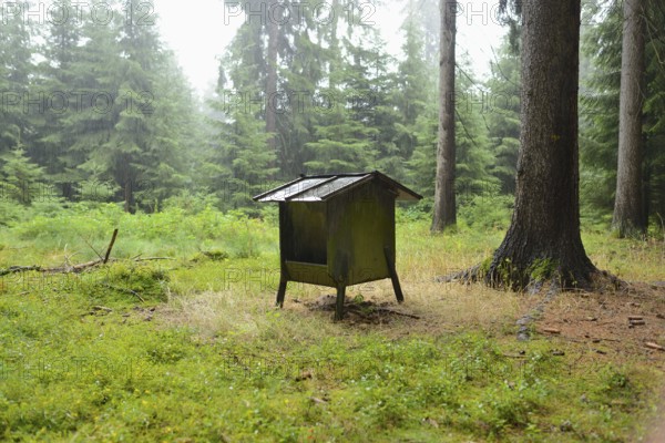 Small deer feeding house in a forest surrounded by tall trees and green undergrowth, exuding a tranquil atmosphere, Bavaria