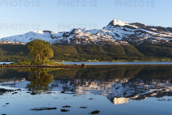 Landscape in Norway. The Balsfjord with a view of the mountain Fugltinden. A small island with a tree in the sea. At night at the time of the midnight sun, good weather, blue sky. Early summer. Reflection. Golden hour. Balsfjord, Norway, Europe