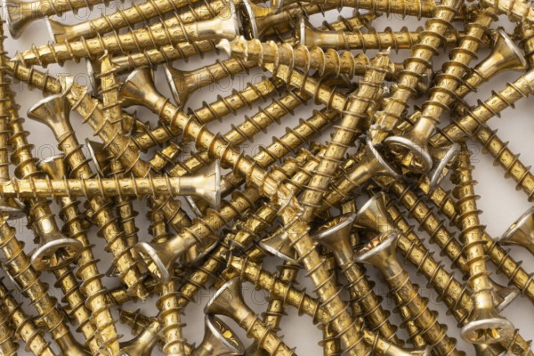 Phillips screws on a white background, wood screws, spax screws
