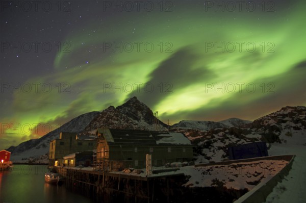 Night scene of a small village on the water, illuminated by auroras and lights from houses, harbour, winter, Nyksund, Langoya, Vesteralen, Nordland, Norway, Europe